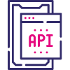 API Integration